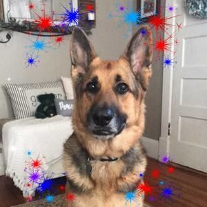 Meet your Posher, Melody